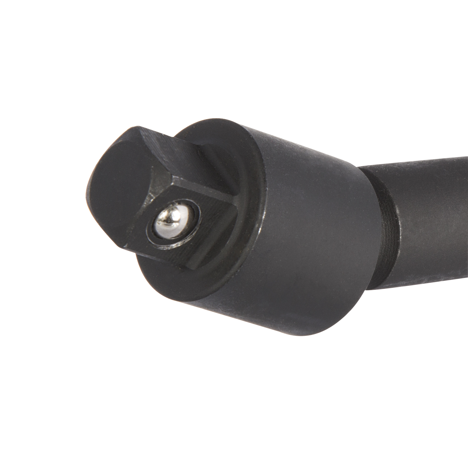 nwabzooxegmvqekunlb3