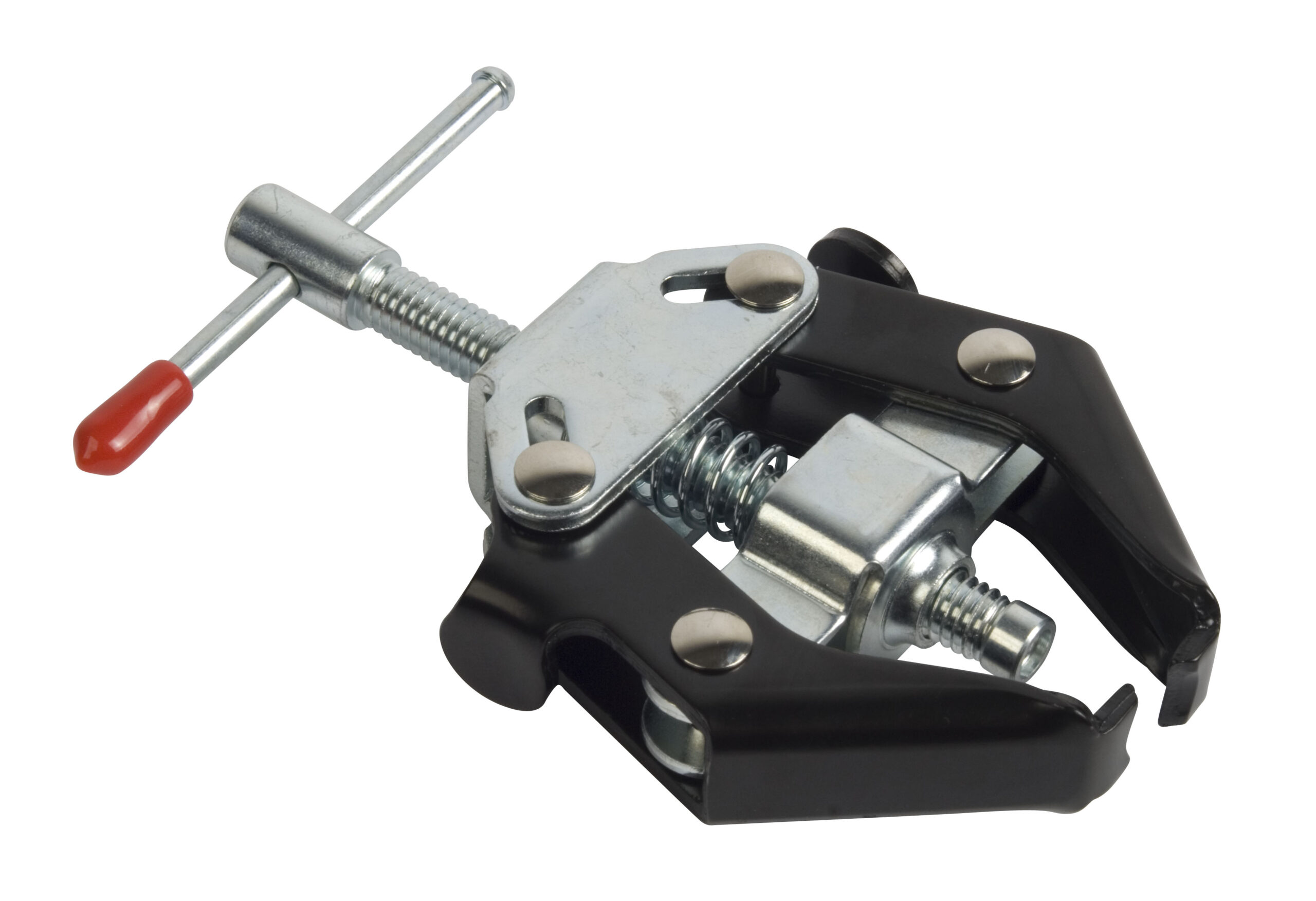 o9vd5miqjywxvlvitizk scaled